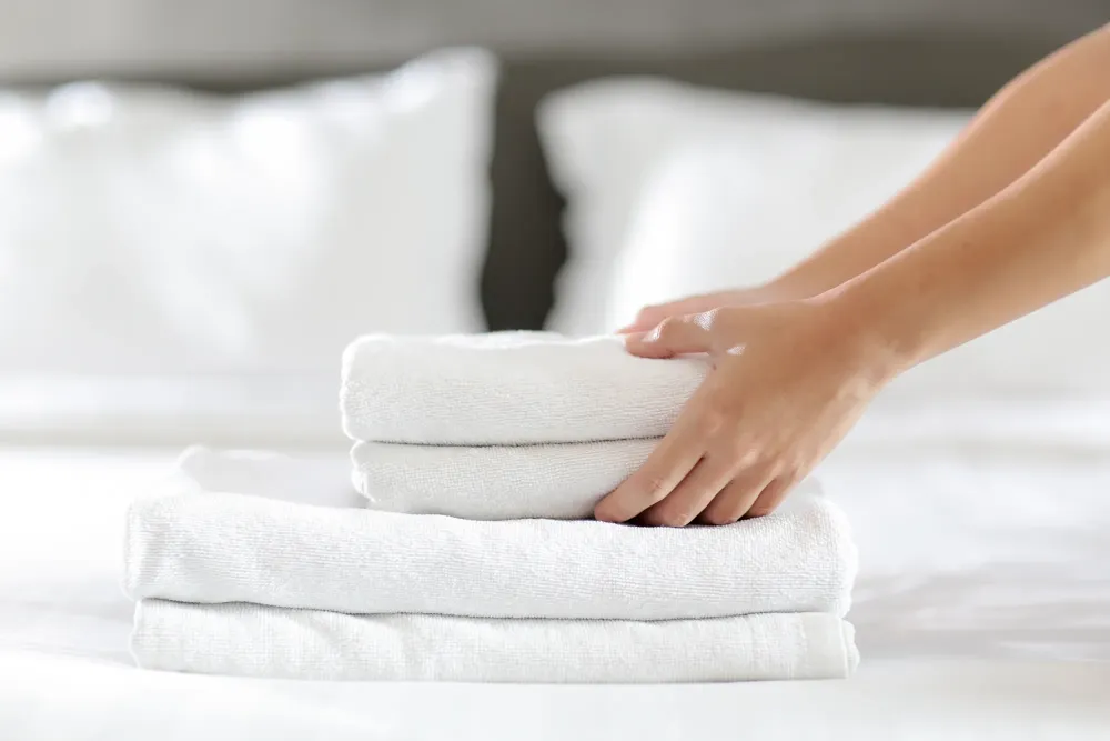 Blanchisserie près de Vic-Fezensac